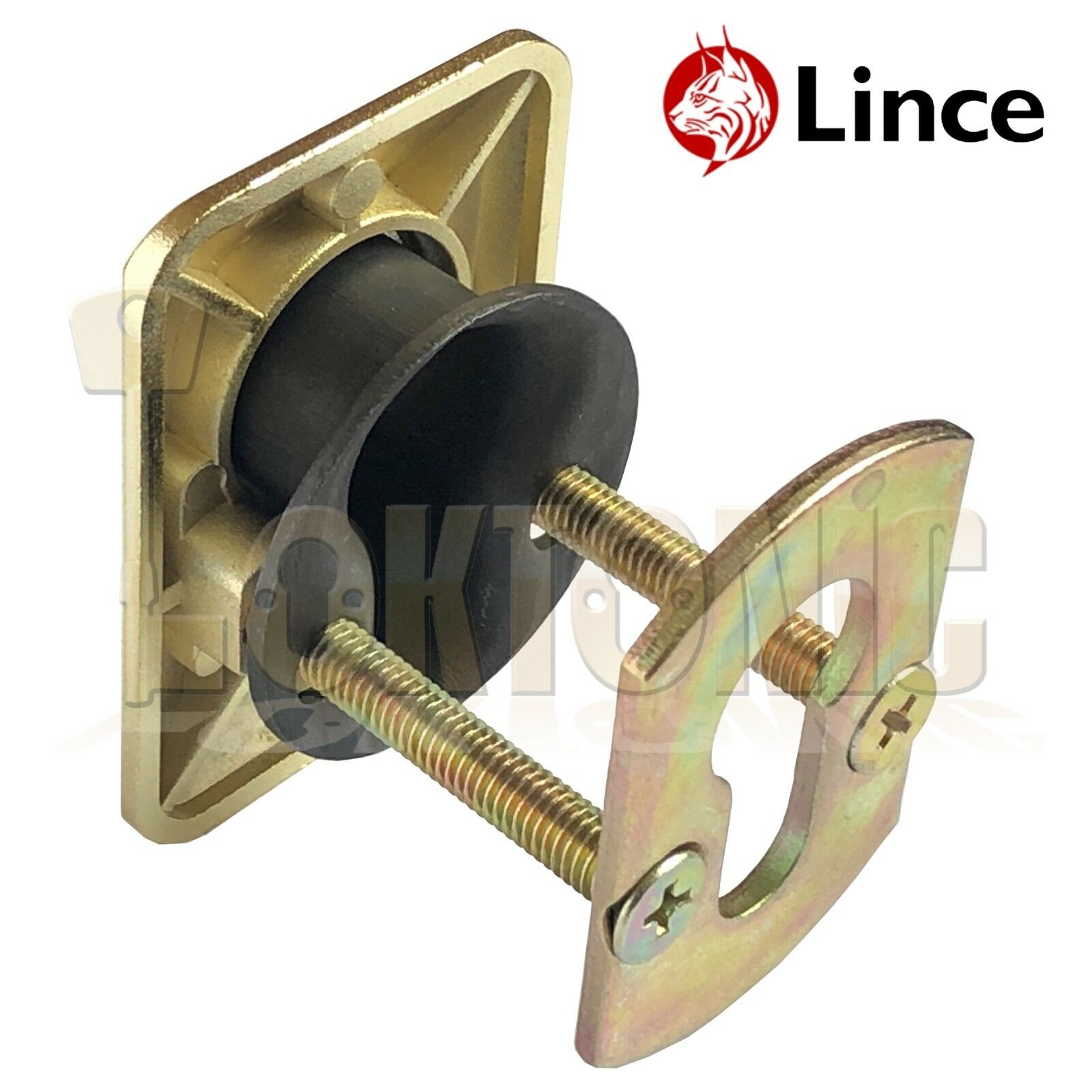 Lince Brass High Security Euro Cylinder Escutcheon Key Cover Plate Front Door - Image 4