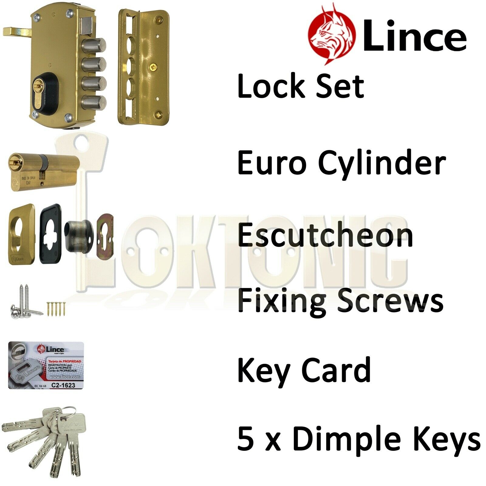 Lince 4 BOLT Rim High Security Euro Sash Bolt Lock Case 5 Secure Dimple Keys - Image 11