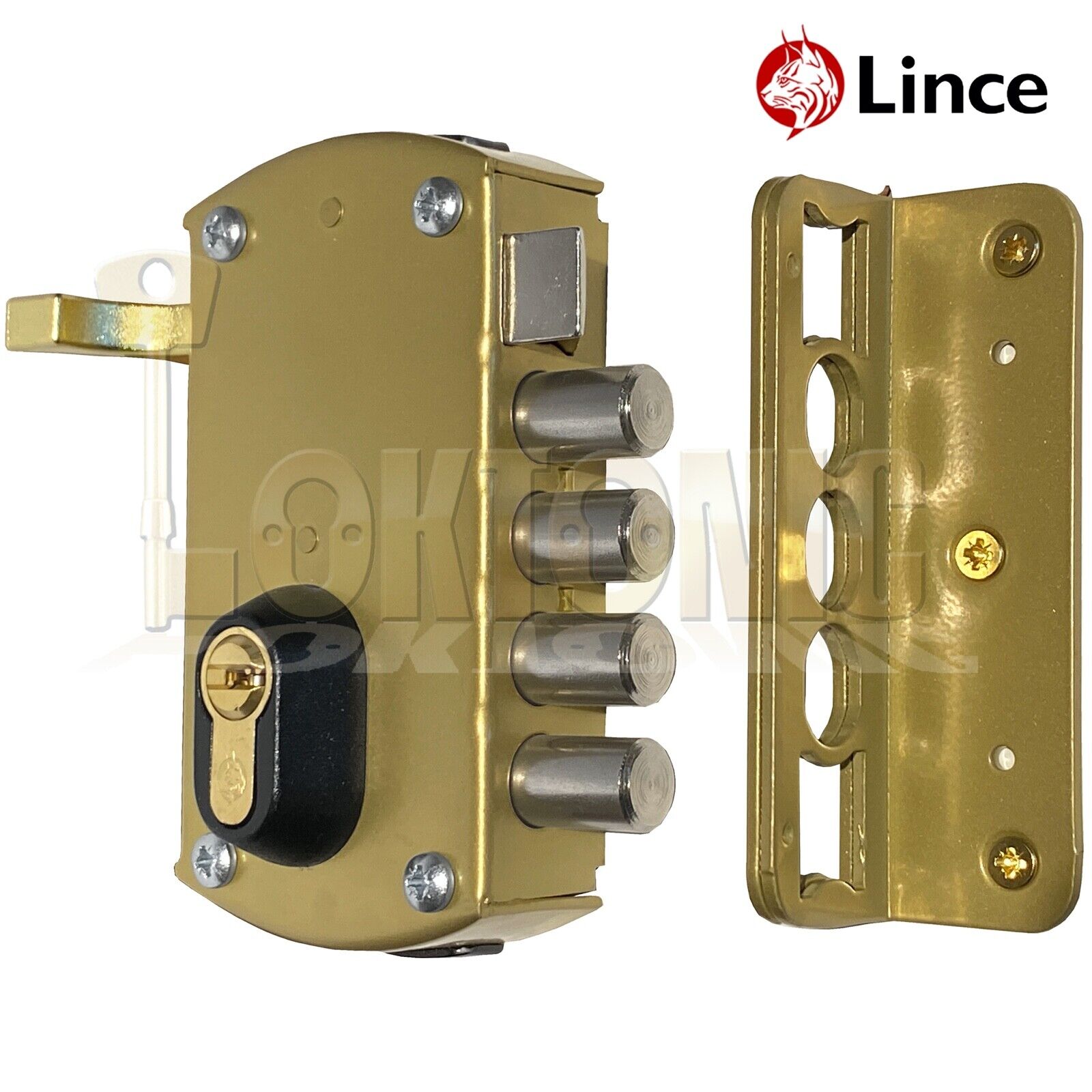 Lince 4 BOLT Rim High Security Euro Sash Bolt Lock Case 5 Secure Dimple Keys - Image 13