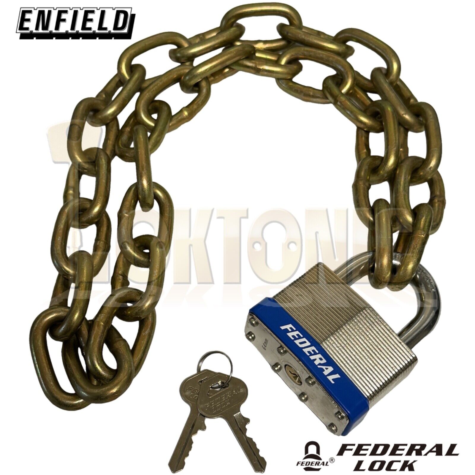 Enfield 8mm Through Hardened Steel Chain 65mm Padlock Bike Bicycle Sheds Gates - Image 3