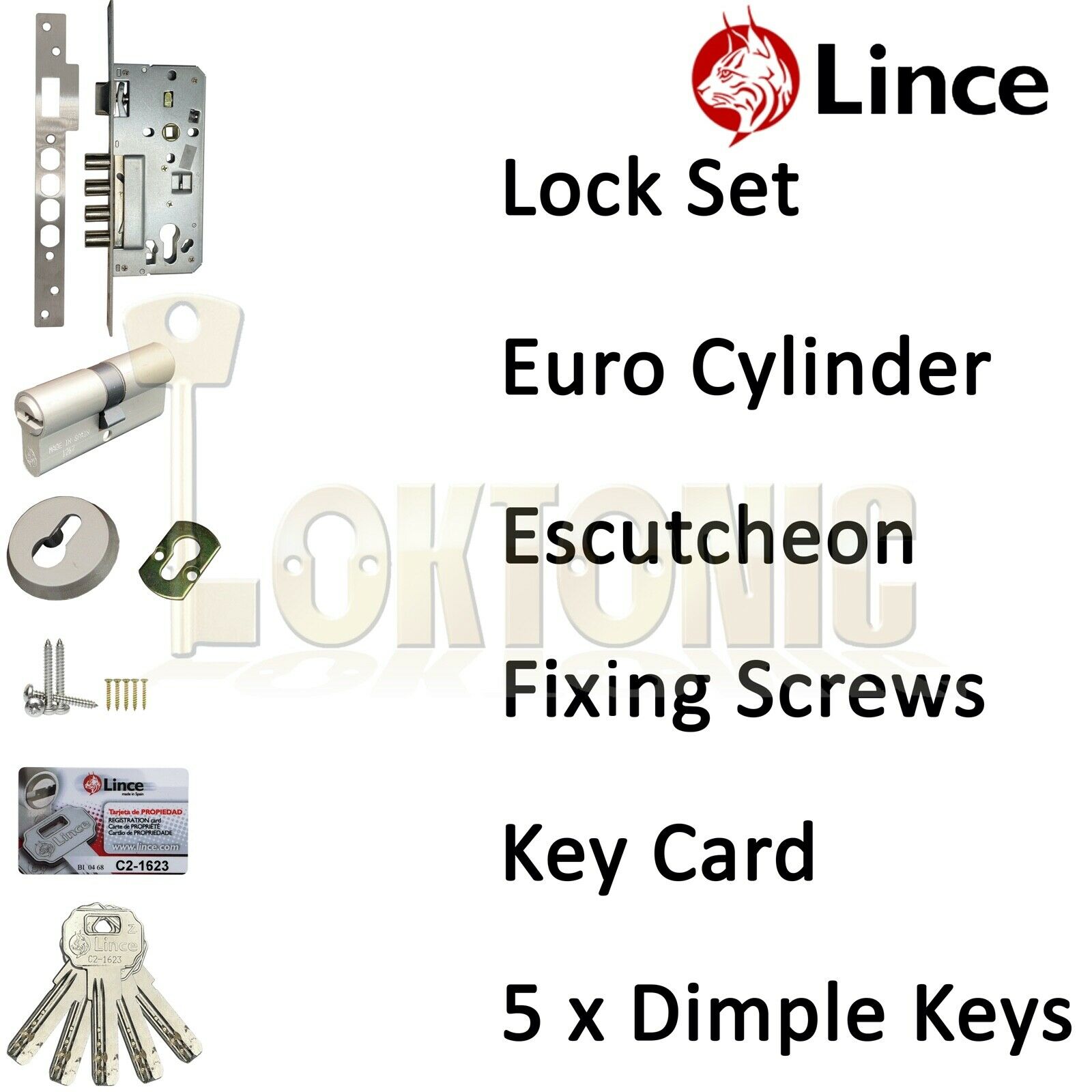 Lince 4 BOLT High Security Mortice Euro Sash Bolt Lock Case 5 Secure Dimple Keys - Image 11