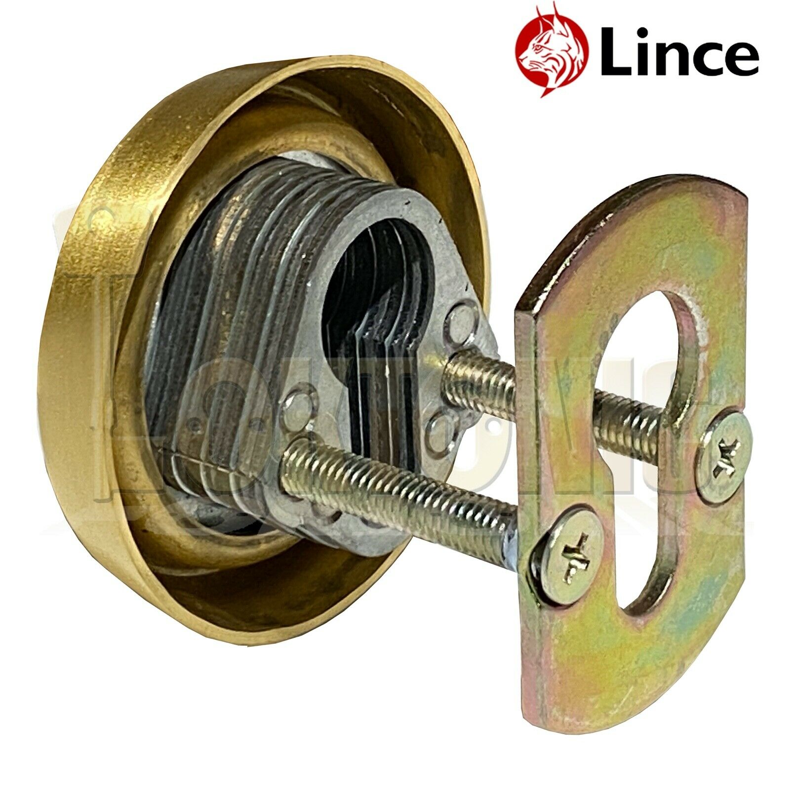 Lince Gold High Security Euro Cylinder Escutcheon Keyhole Cover Plate Van Doors - Image 8